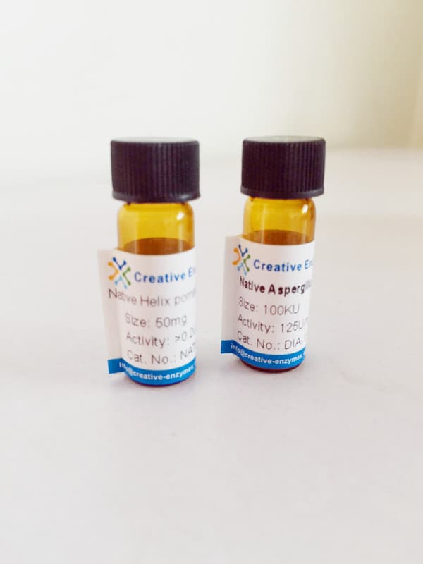 Acetyl_Coenzyme A acetyltransferase 2 from Human_ Recombinan